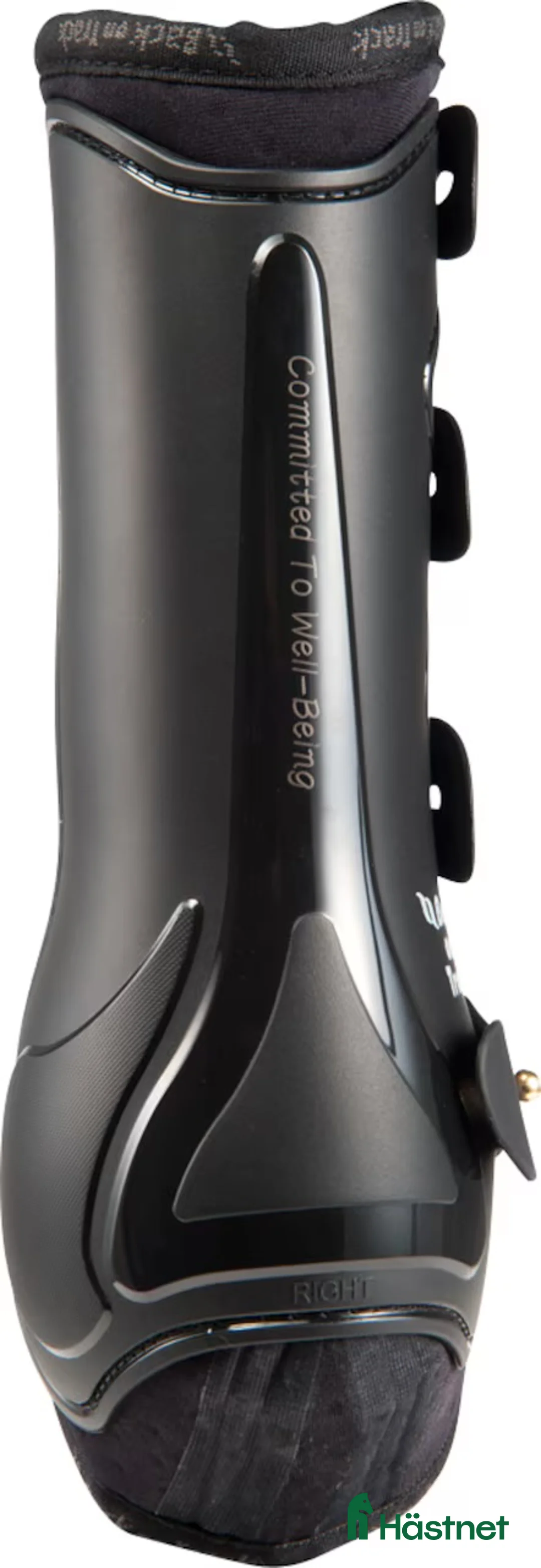 Benskydd hästutrustning till salu: Benskydd fram, Royal Back on Track FULL i Täby - Annons 2