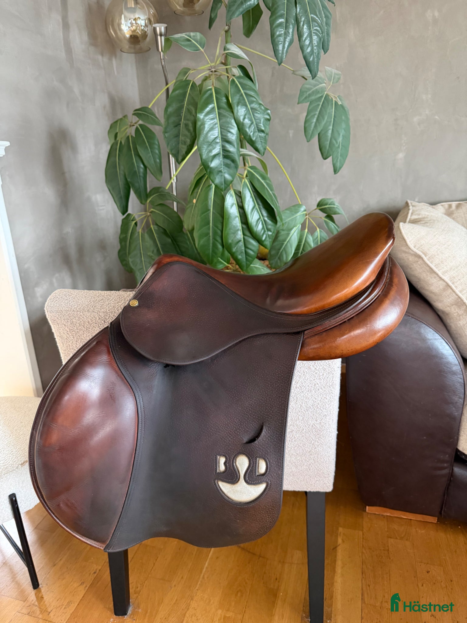 Sadlar hästutrustning Bruno Delgrange  - Annons 11