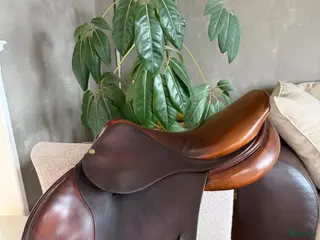 Sadlar hästutrustning Bruno Delgrange - Annons 11