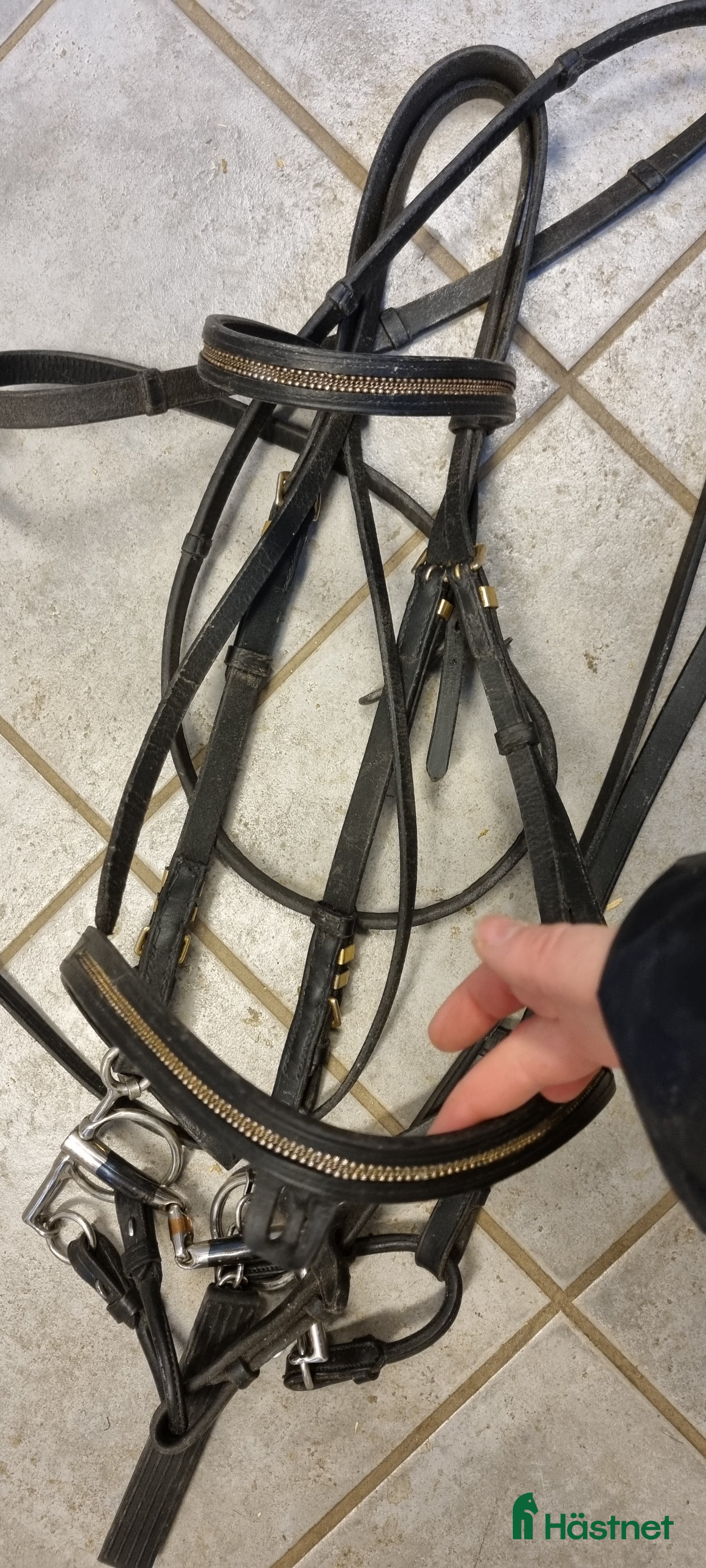 Träns hästutrustning Träns med gulddetaljer - Annons 16