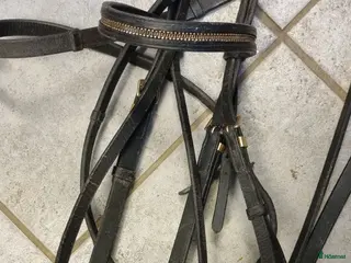 Träns hästutrustning Träns med gulddetaljer - Annons 16