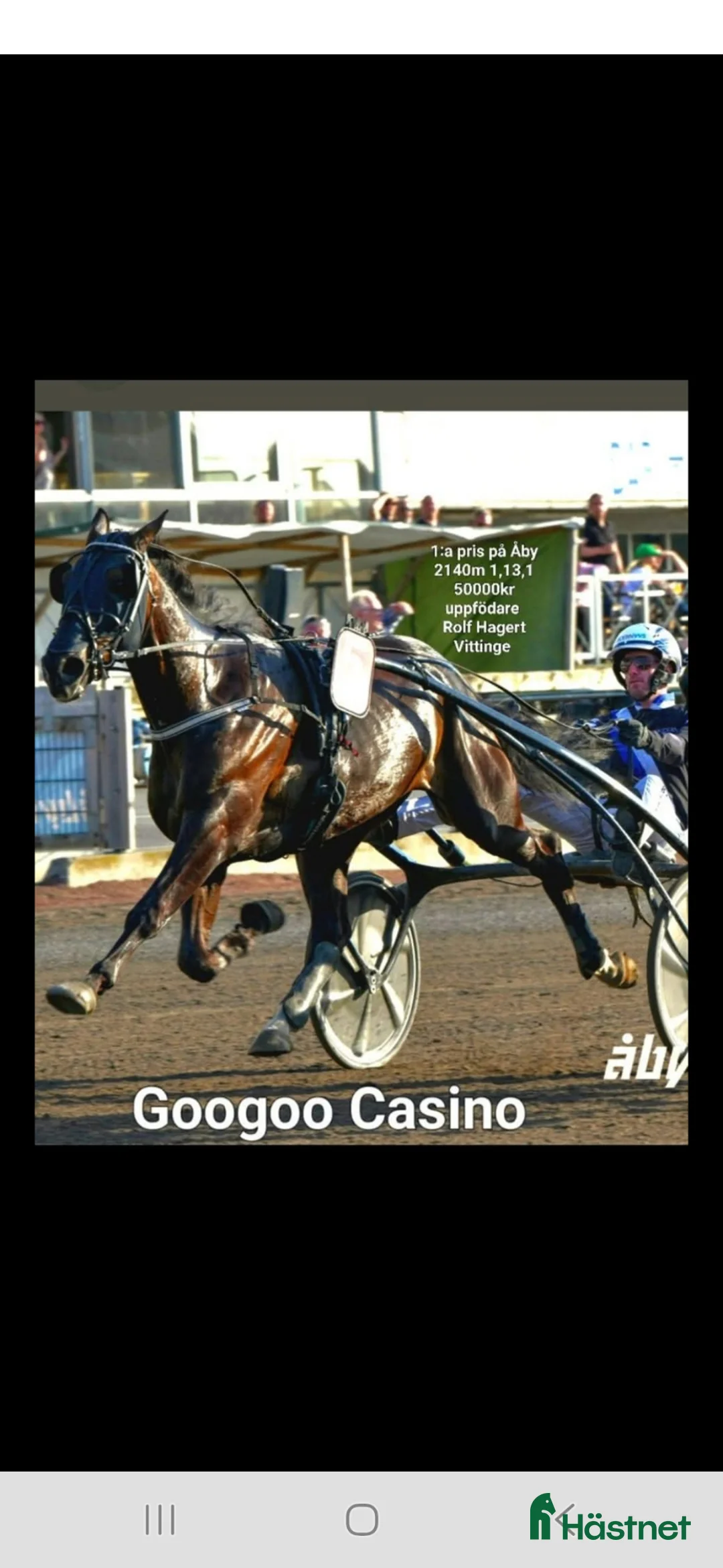 Galleribild {{count}}