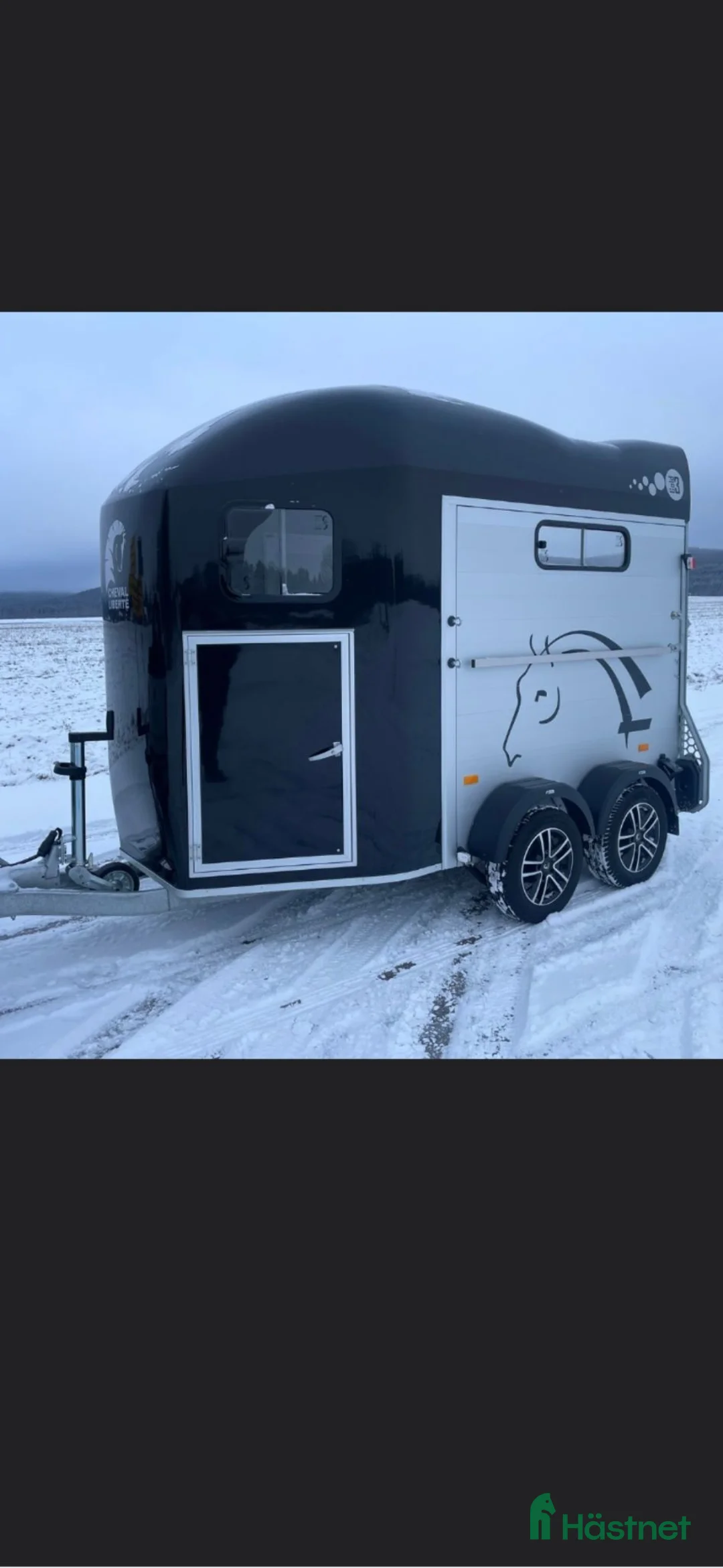 Hästtransporter  fordon & transport till salu: Cheval liberte gold 3 - 24 - Annons 2