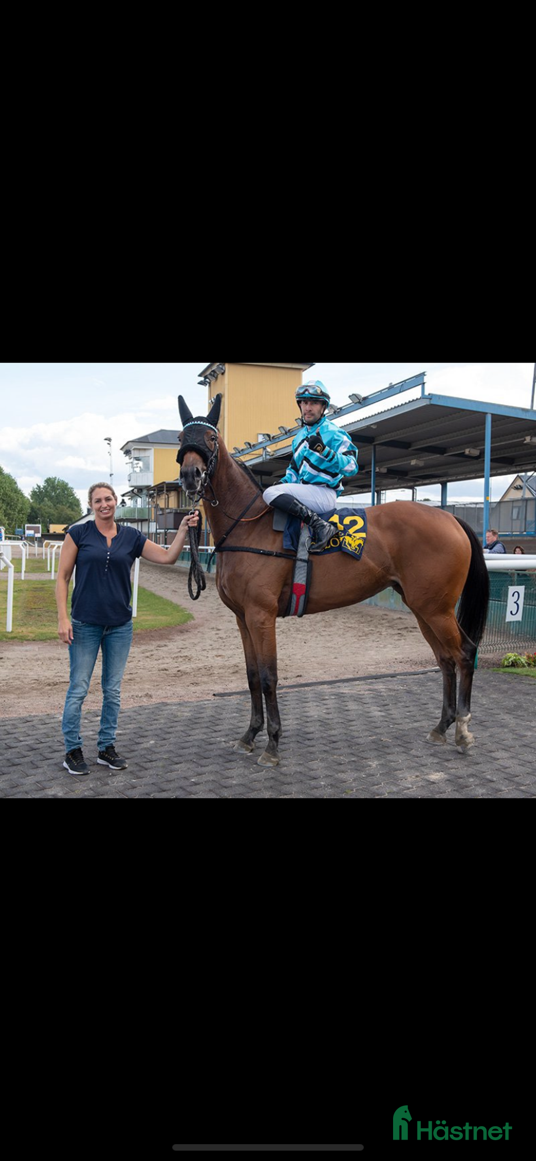 Allround hästar till salu: Mitt hjärta söker sitt sista hem i Trelleborg - Annons 6