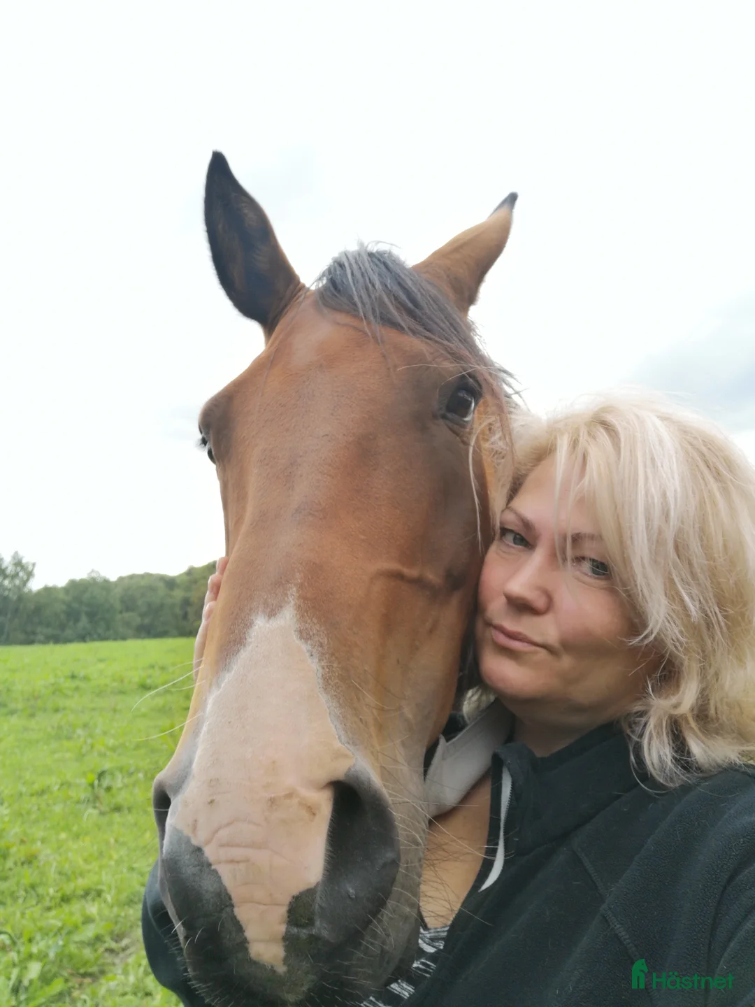 Galleribild {{count}}