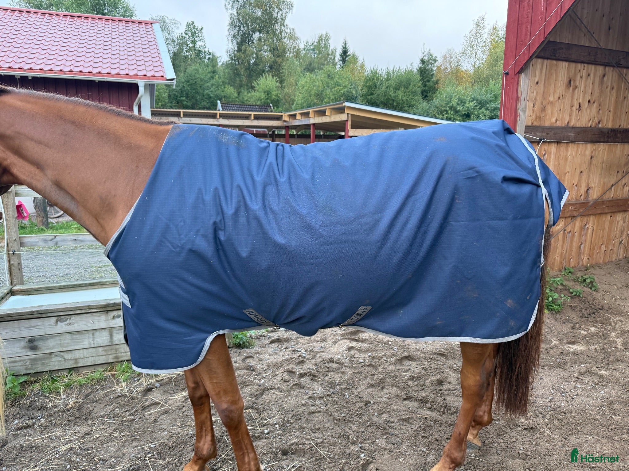 Täcken hästutrustning Helt nytt hw täcke  - Annons 10