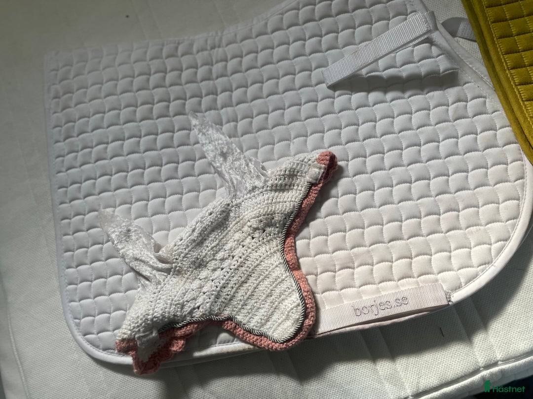 Övrig Hästutrustning hästutrustning till salu: Lägg bud  - Annons 14