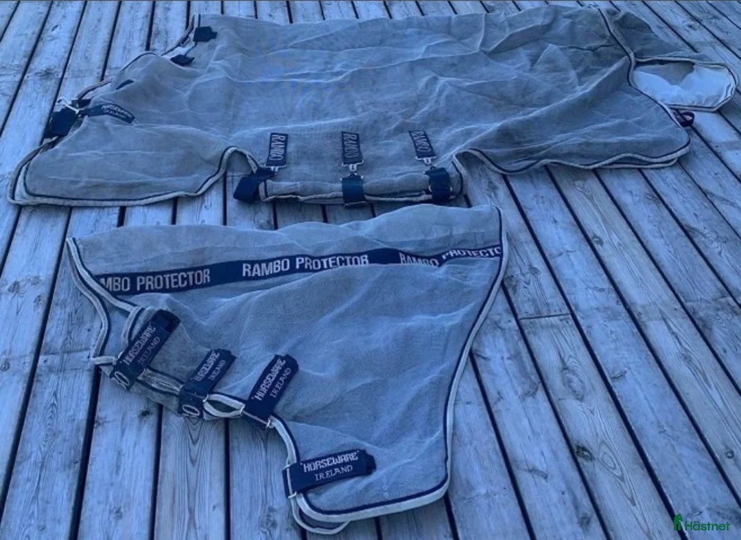 Täcken hästutrustning till salu: Rambo flugtäcke protector  - Annons 1