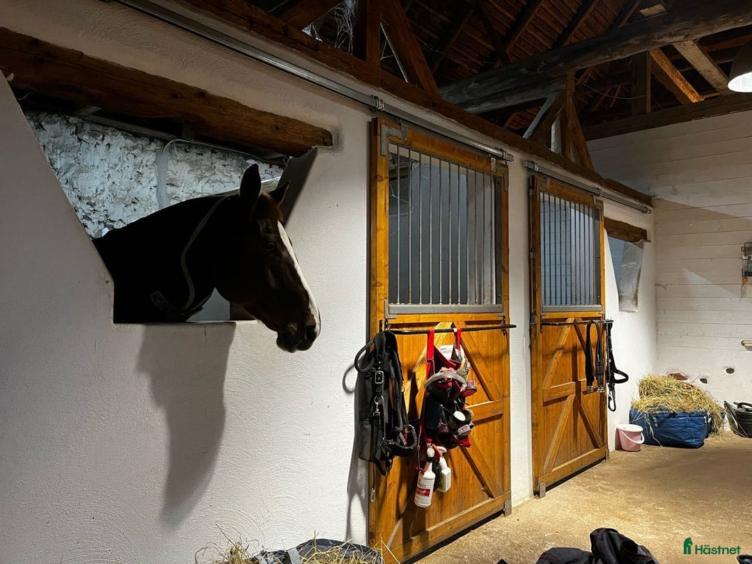  stallplats finnes: Boxplats - Annons 2