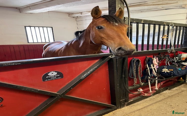  stallplats i Märsta - Annons 9