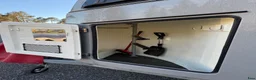 Hästtransporter  fordon & transport till salu: Böckmann Comfort med sadelkammare - Annons 3