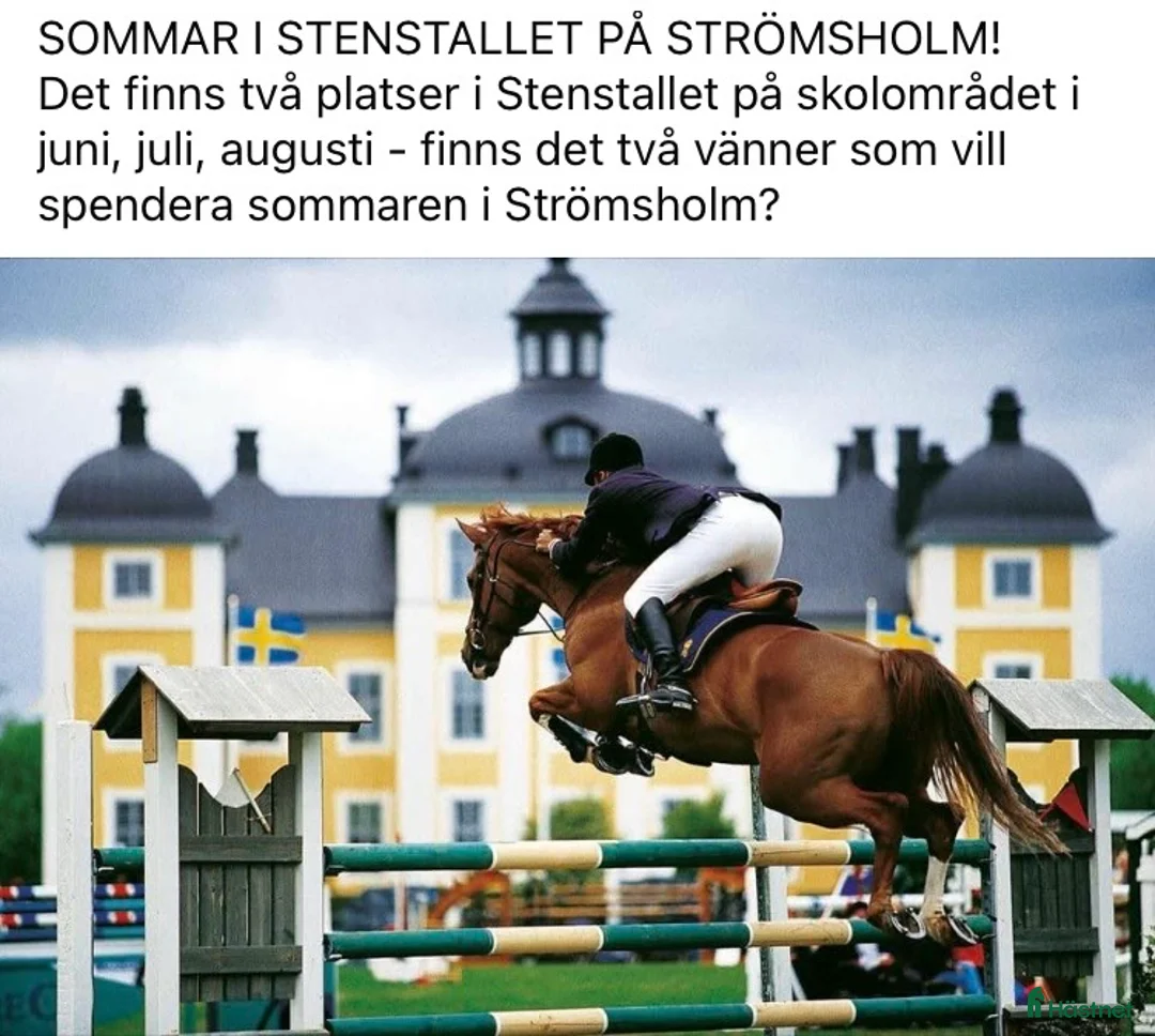  stallplats finnes: Två boxar i sommar på Strömsholm. i Strömsholm - Annons 1
