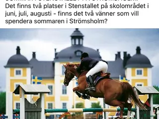 stallplats Två boxar i sommar på Strömsholm. - Annons 4