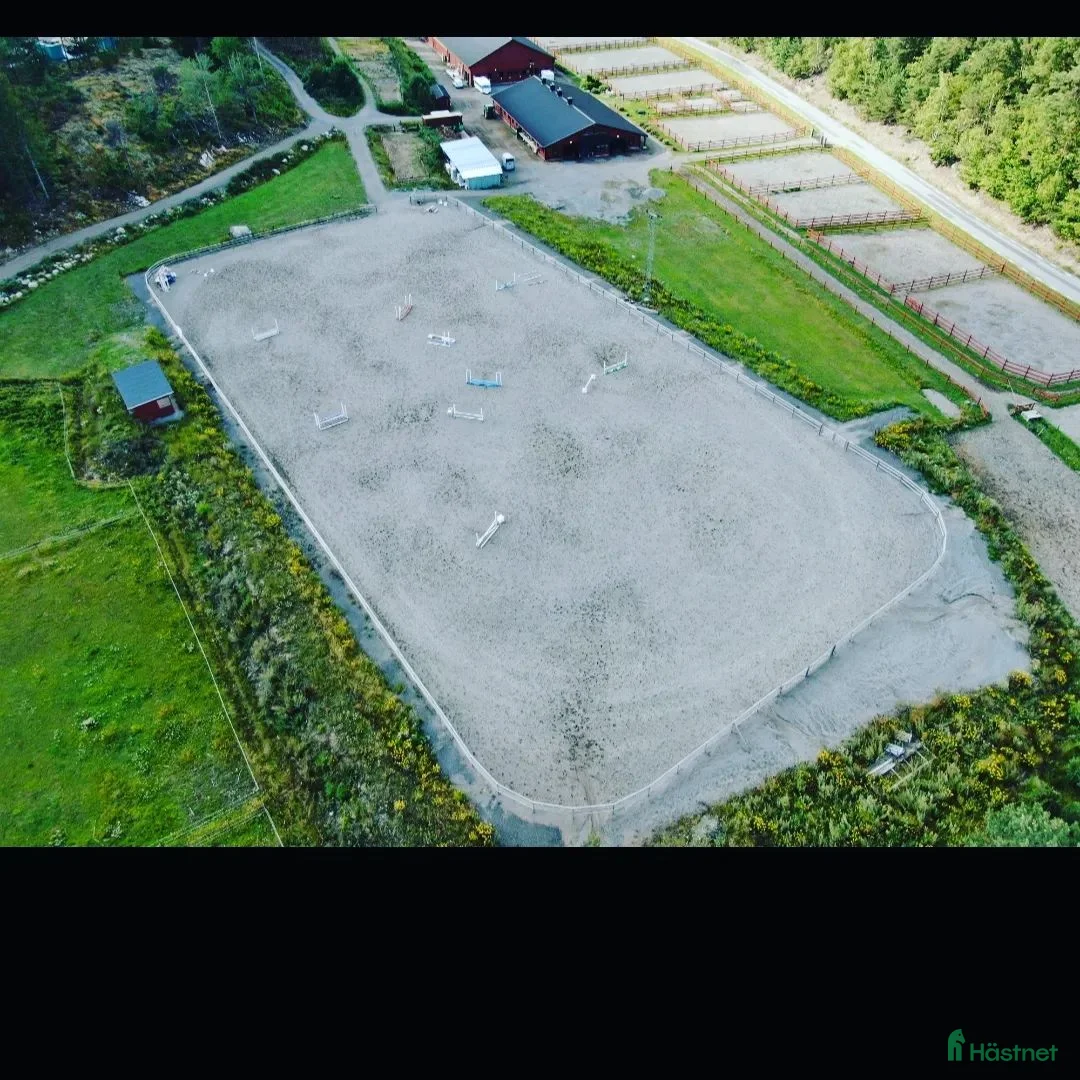  stallplats finnes: Ledig boxplats på Stall Lilla Sandö i Ingarö - Annons 5