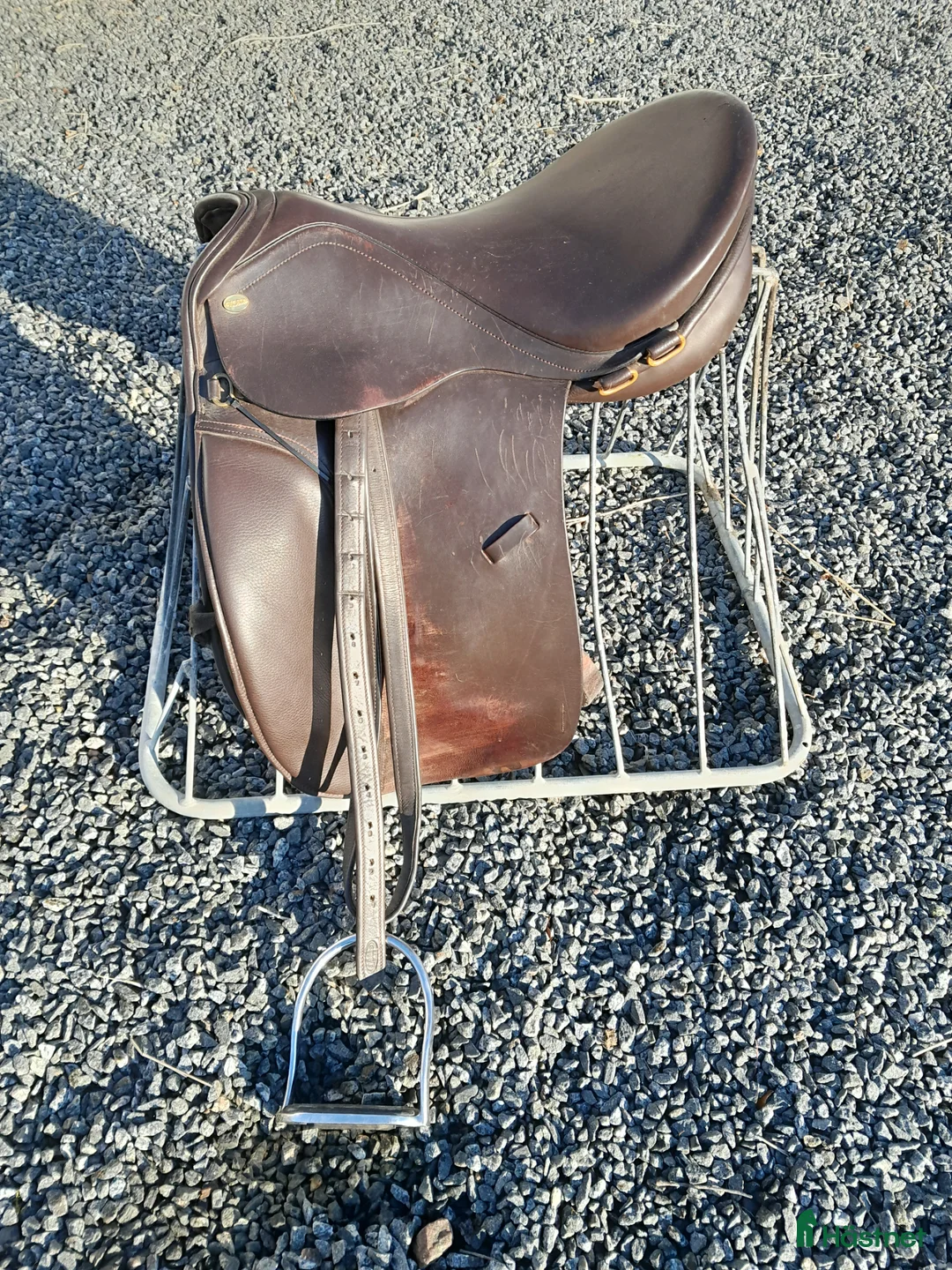 Sadlar hästutrustning till salu: Sadel från Globus Sport - Annons 1