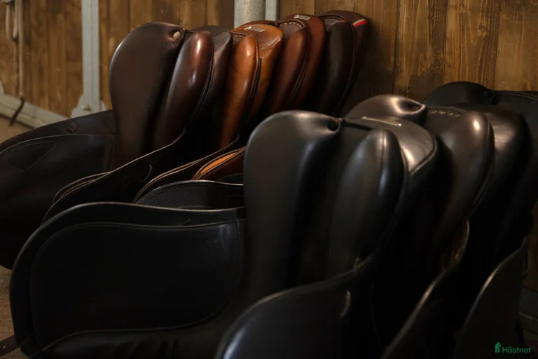 Galleribild {{count}}