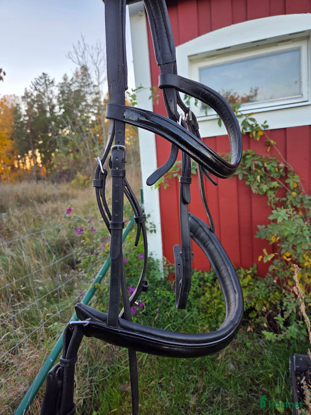 Träns hästutrustning till salu: Träns i Vikbolandet - Annons 1