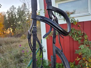Träns hästutrustning till salu: Träns i Vikbolandet - Annons 4