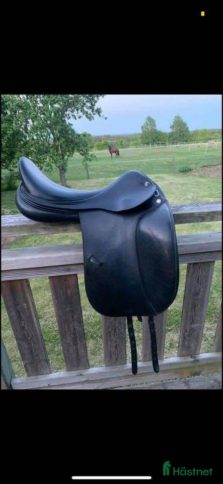 Sadlar hästutrustning Prestige D1 - Annons 8