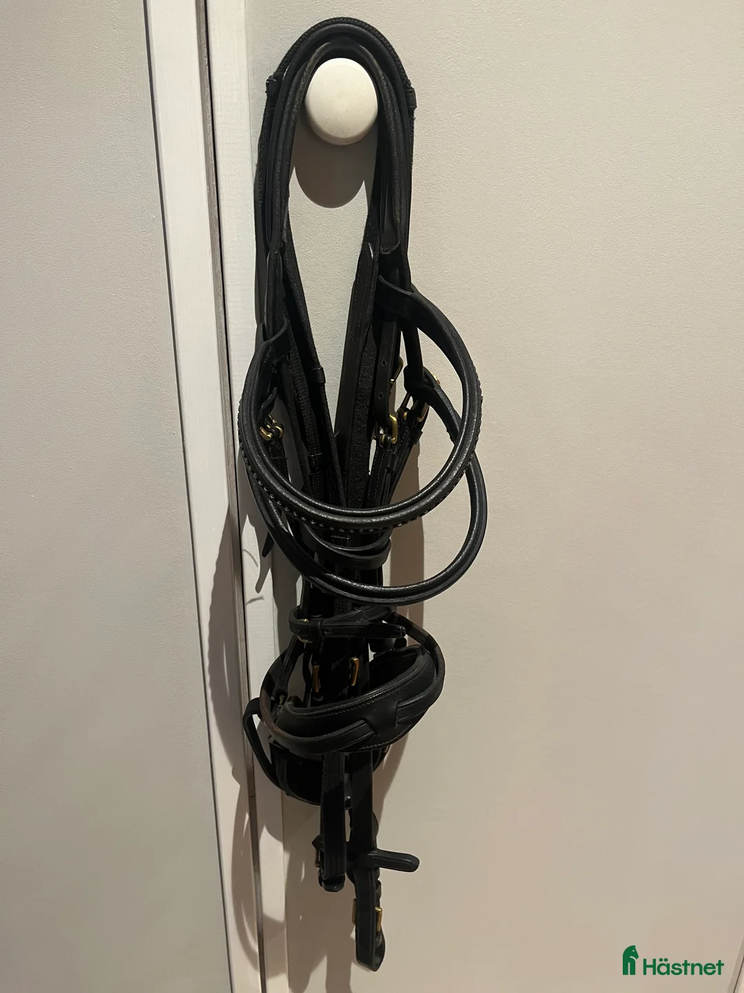 Träns hästutrustning till salu: Hubertusträns stl C - Annons 1