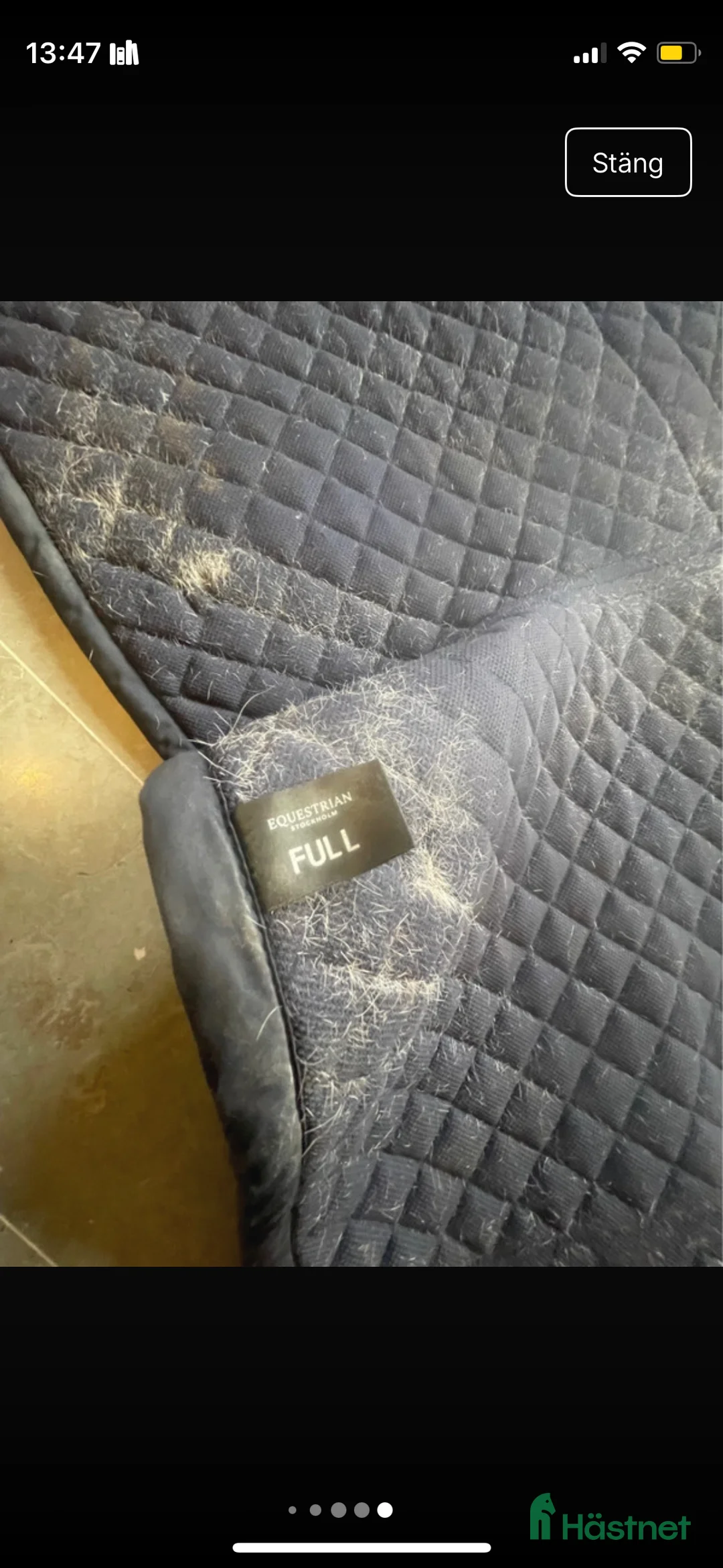 Schabrak & Vojlockar hästutrustning till salu: Equestrian Stockholm schabrak  i Tyresö - Annons 5