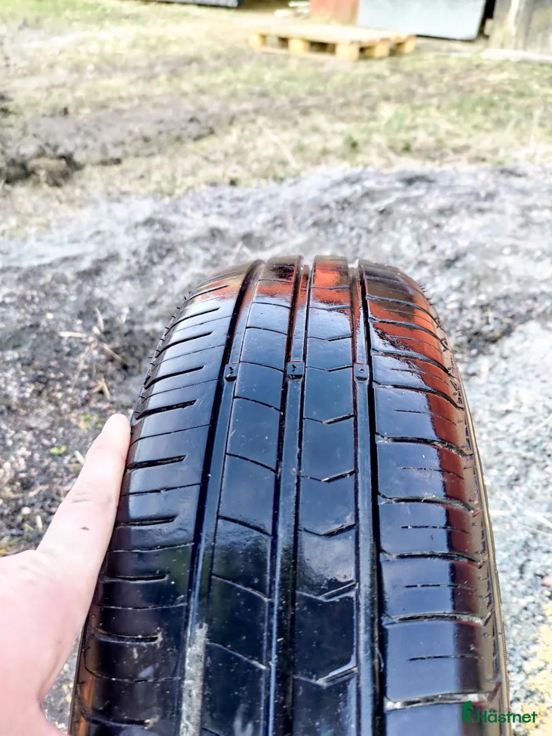 Hästtransporter  fordon & transport till salu: Hästtransport med låg totalvikt & 500 kg lastvikt - Annons 7