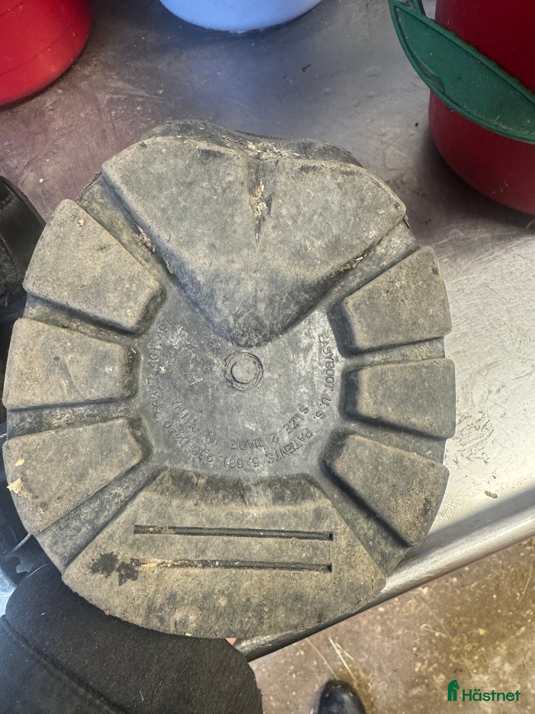 Övrig Hästutrustning hästutrustning till salu: Easyboot Epic i Motala - Annons 3