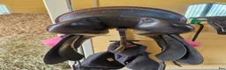 Sadlar hästutrustning till salu: Prestige top dressage - Annons 3