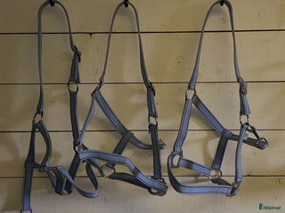 Övrig Hästutrustning hästutrustning till salu: Gråa grimmor i Nora - Annons 6