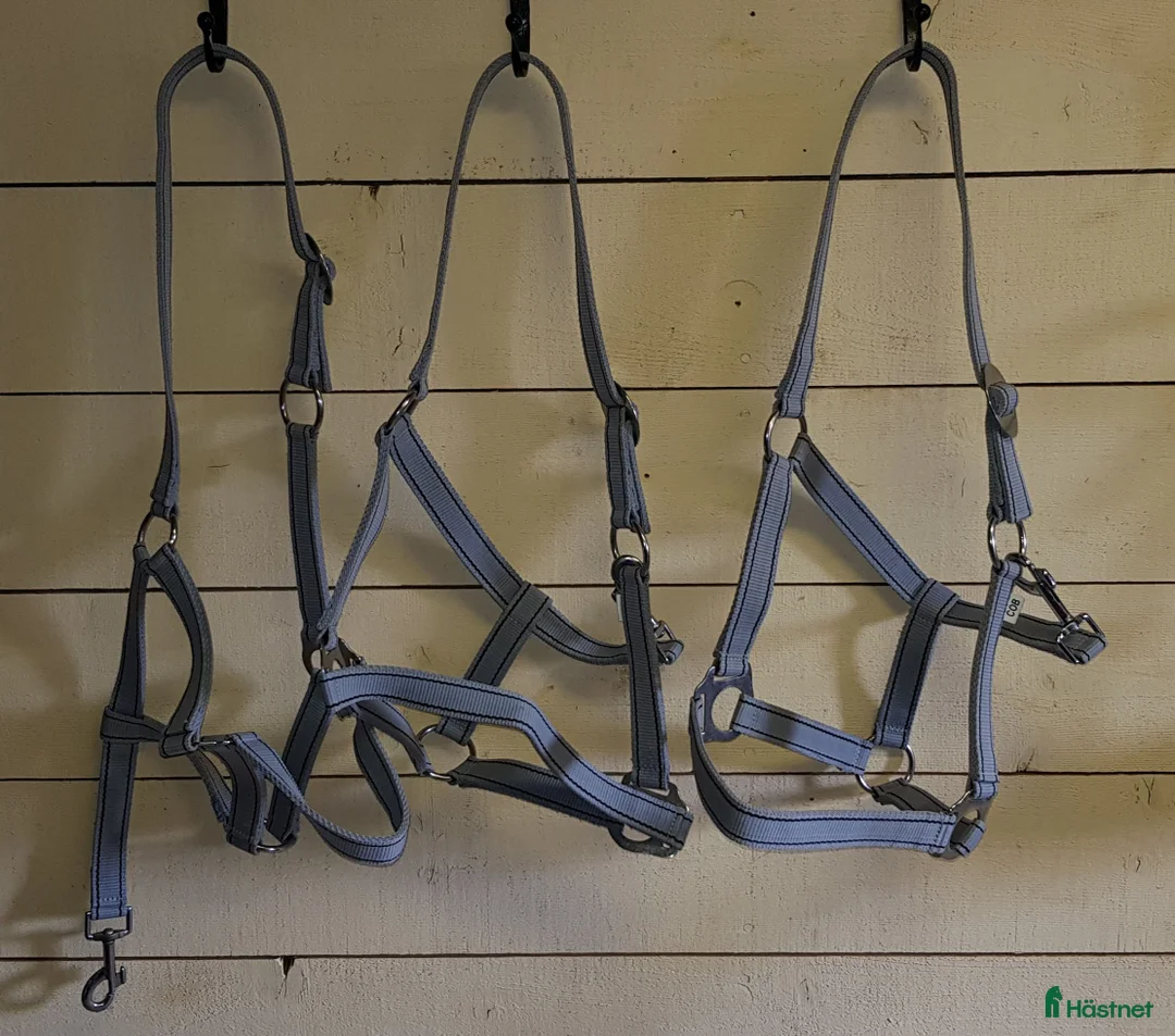 Övrig Hästutrustning hästutrustning till salu: Gråa grimmor i Nora - Annons 1