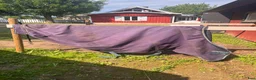 Täcken hästutrustning till salu: Horseware täcken  i Skövde - Annons 5