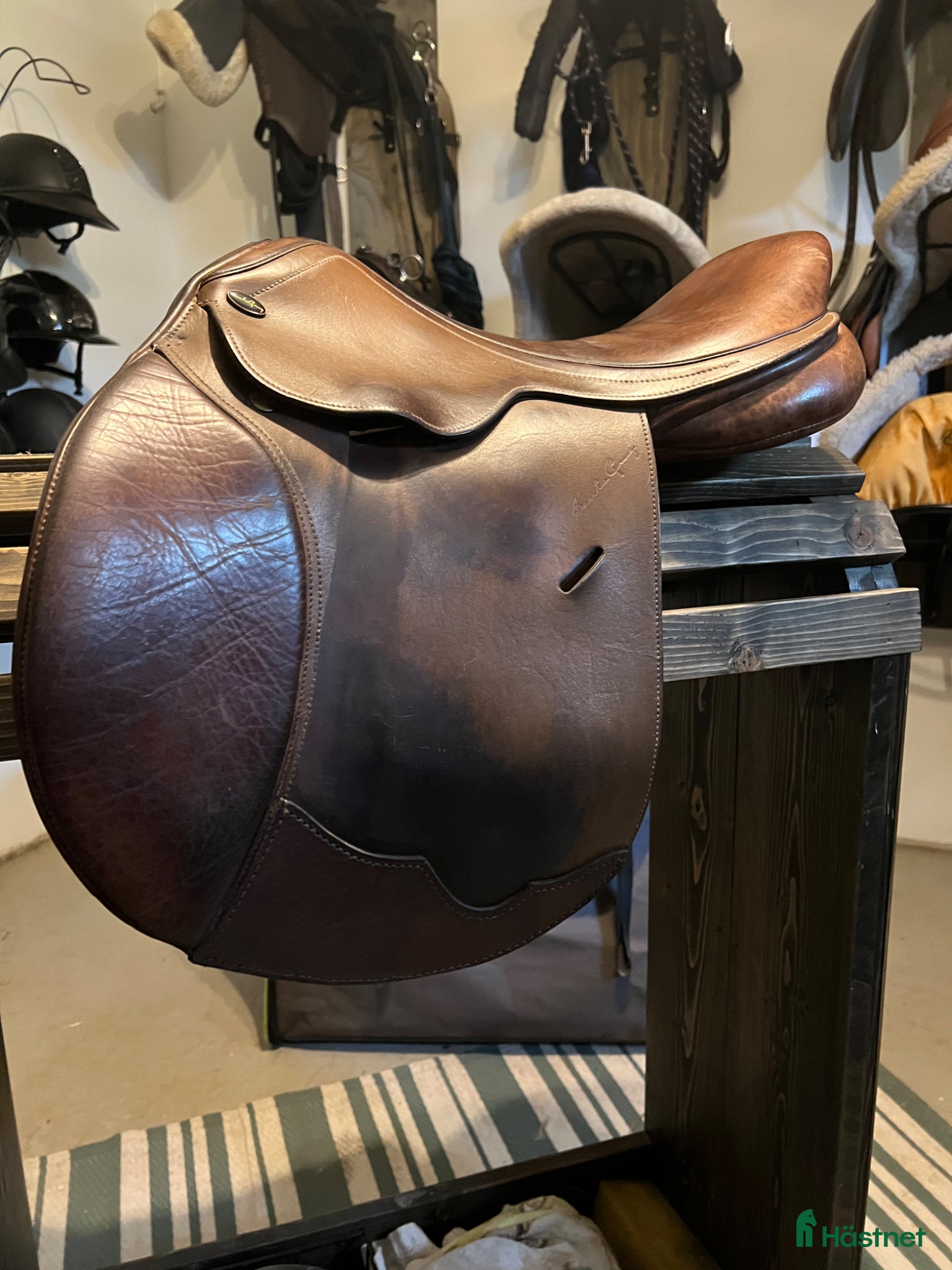 Sadlar hästutrustning Santa Cruz Celine 16,5” extra vid - Annons 15
