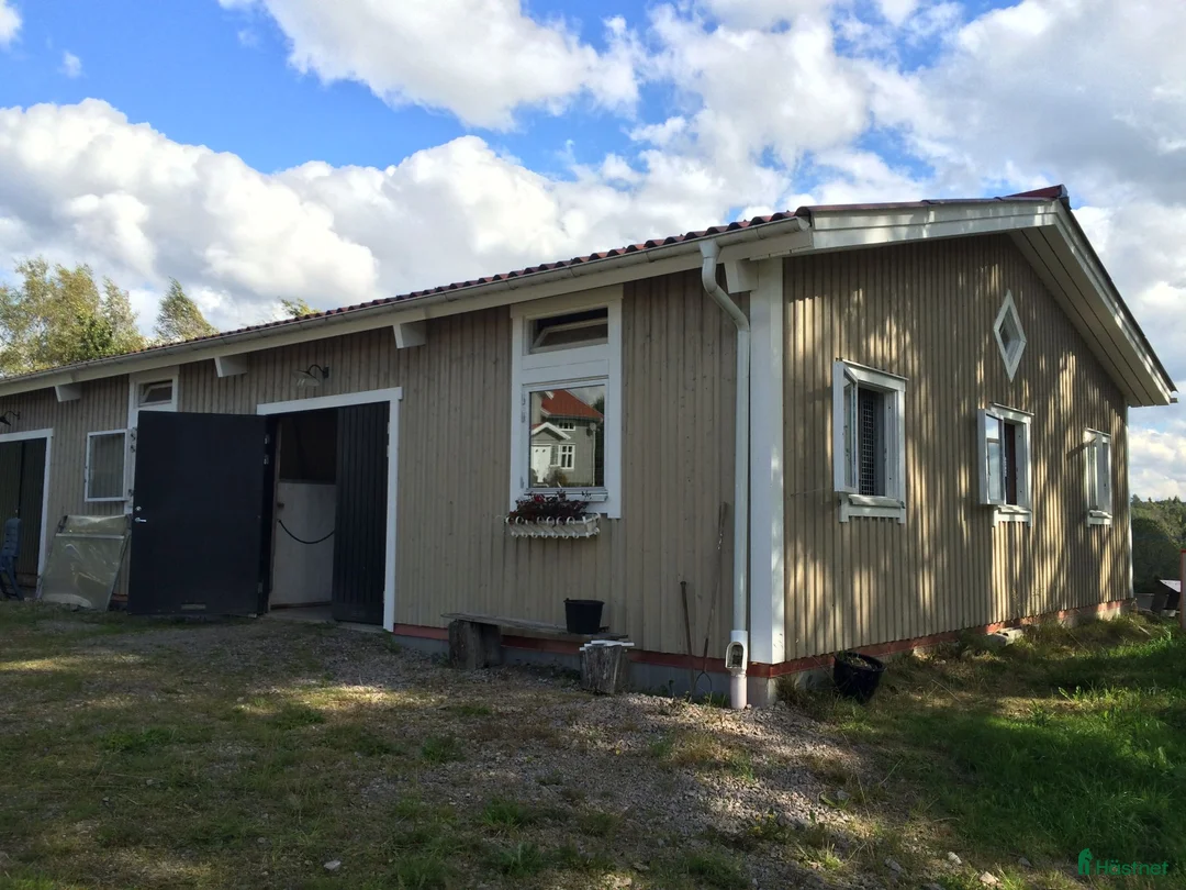  stallplats finnes: Ledig stallplats utanför Borås - Annons 2