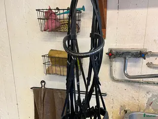 Träns hästutrustning Kandar i nyskick - Annons 1