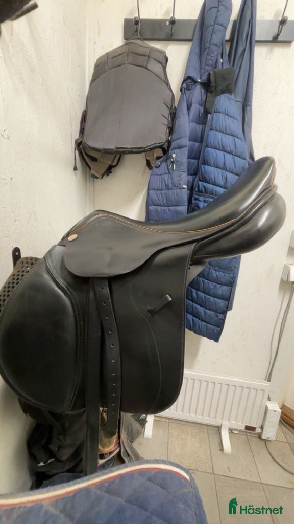 Sadlar hästutrustning till salu: Fin svart Lippo fazzino - Annons 1