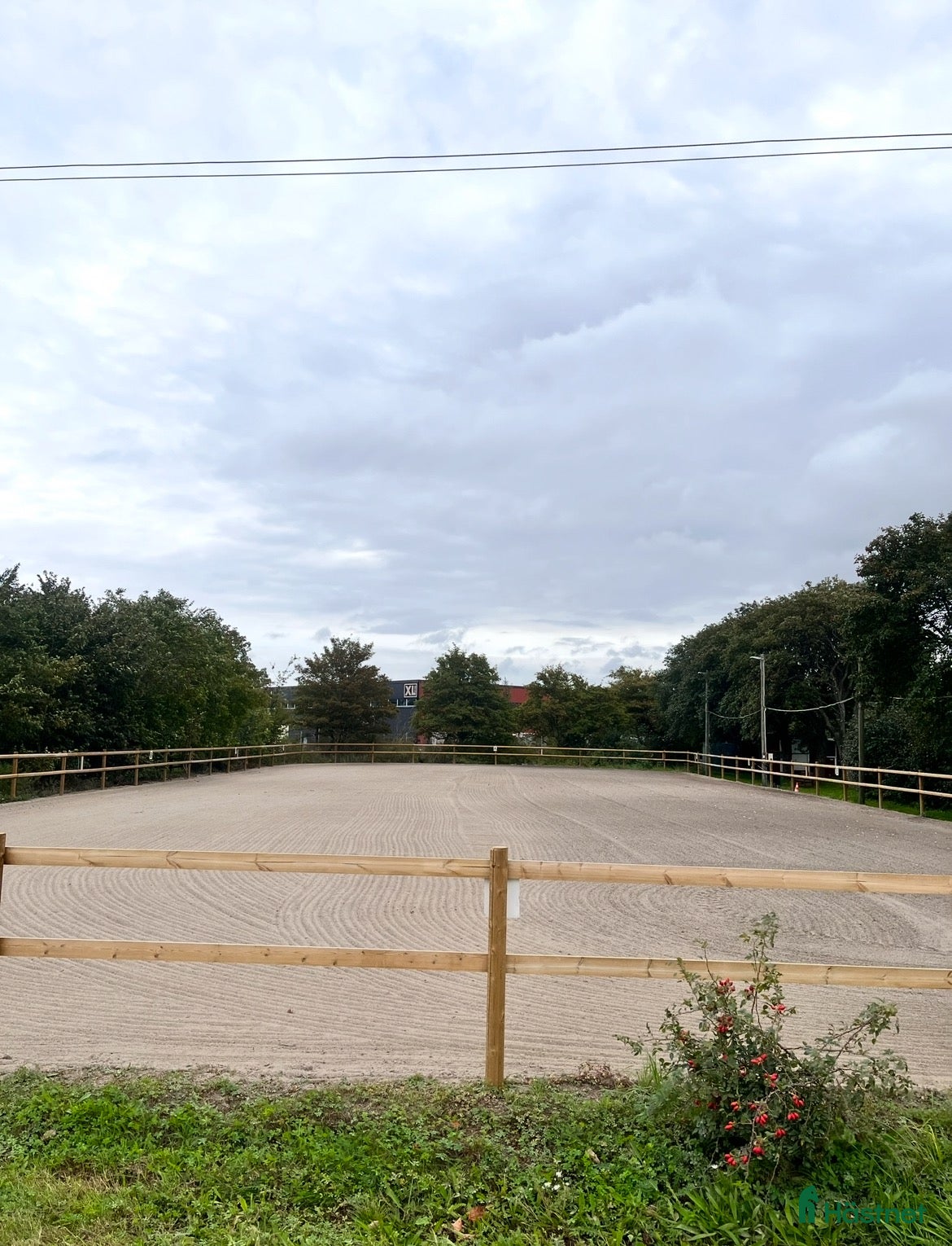  hästar Söker ridskoleponny 🐴 - Annons 6