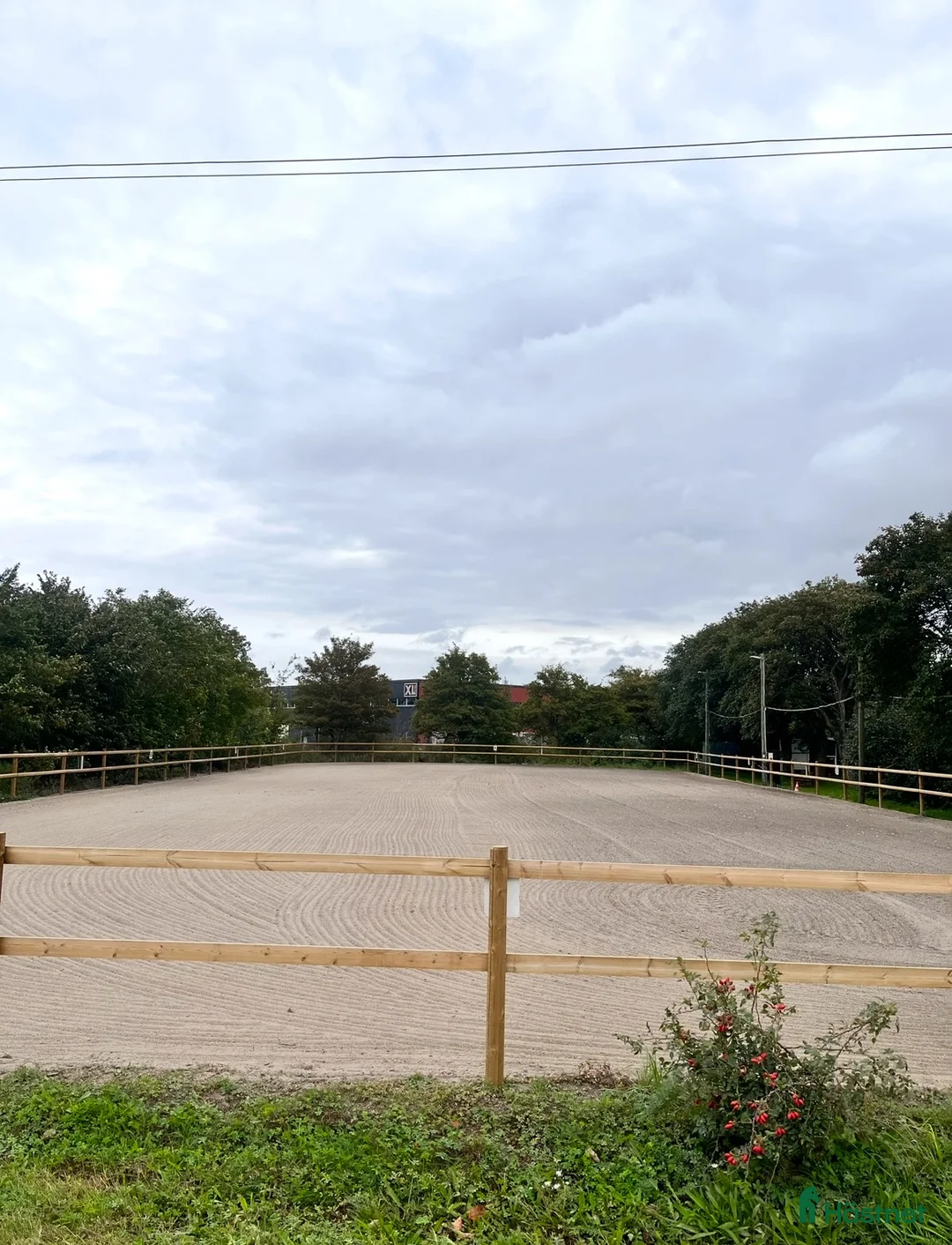 Allround hästar sökes: Söker ridskoleponny 🐴 - Annons 1