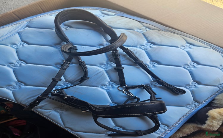 Träns hästutrustning till salu i Skellefteå - Annons 12