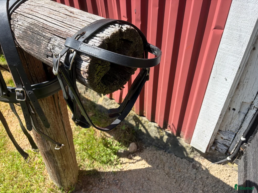 Körselar körning till salu: Körsele i Alvesta - Annons 2