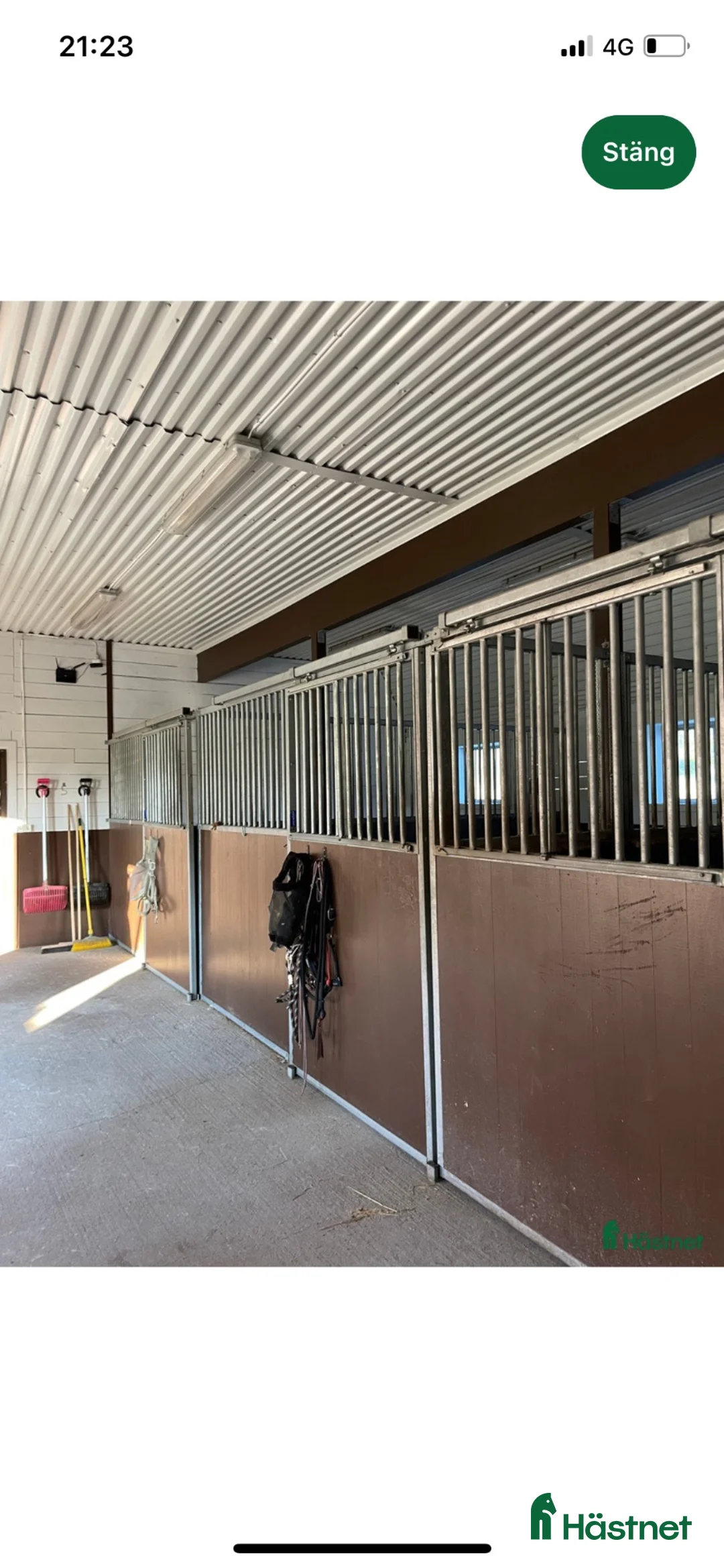  stallplats finnes: Ledig boxplats - Annons 2