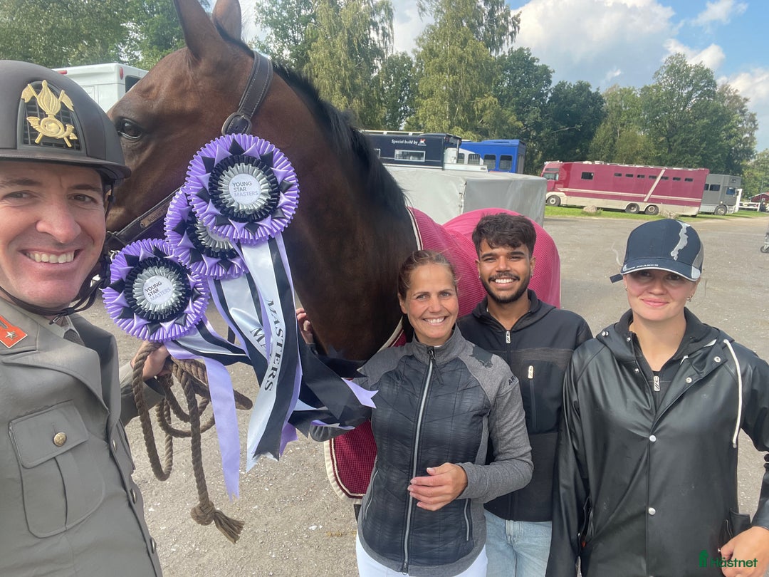  hästjobb finnes: Lundbäck & Cristofoletti letar duktighästskötare ! i Norrköping - Annons 1