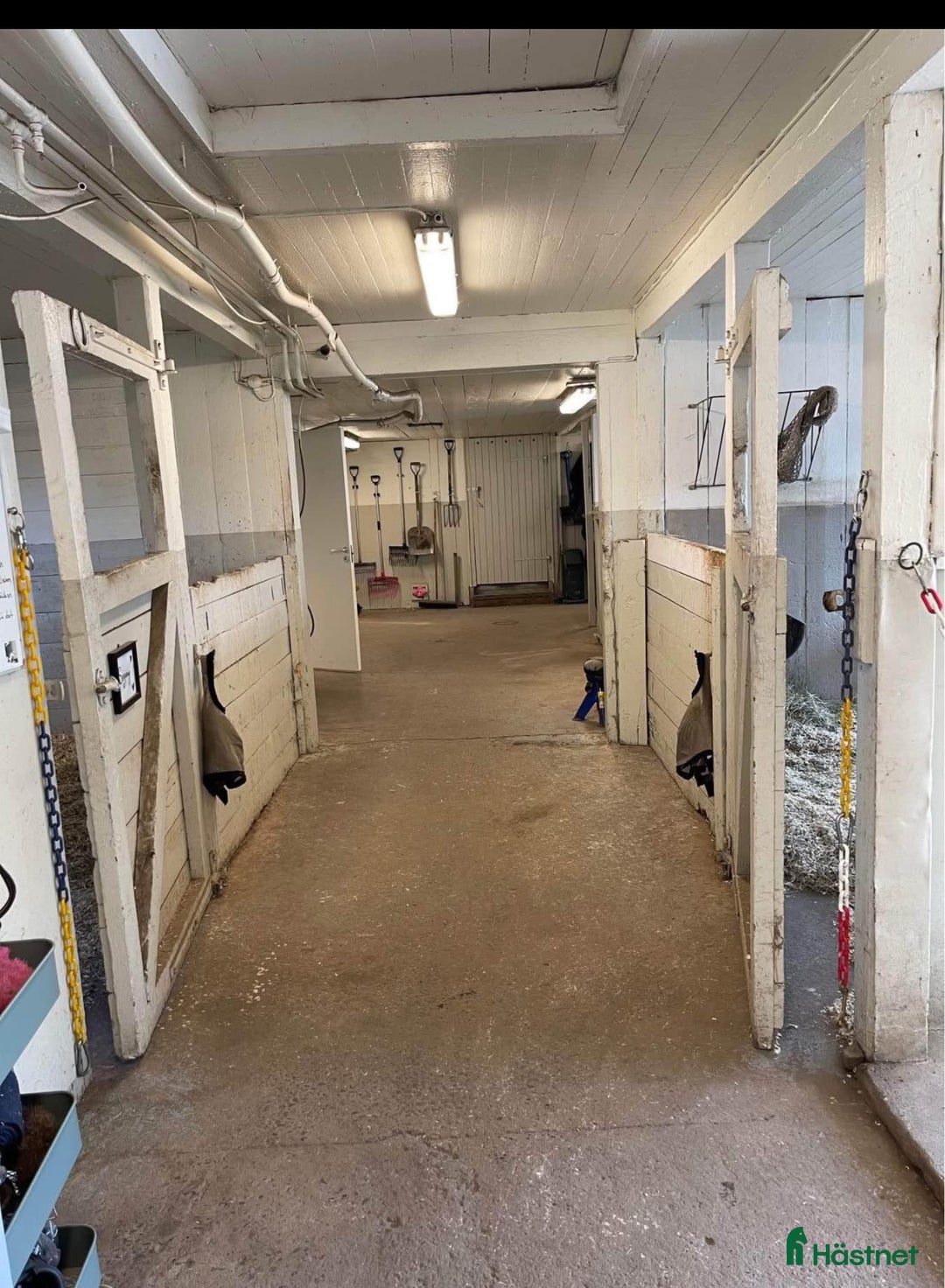  stallplats finnes: Stallplatser i Hällesåker med fina rid o vägar  i Lindome - Bild 5