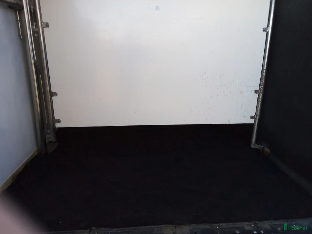 Hästlastbilar  fordon & transport till salu: MB 316cdi hästlastbil - Annons 10