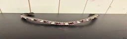 Träns hästutrustning till salu: Pannband Crystal Crown - Annons 1