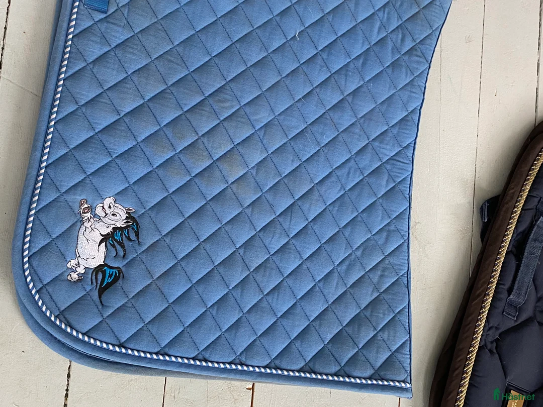 Schabrak & Vojlockar hästutrustning till salu: Equestrian, PS of Sweden, Mulle i Oskarshamn - Annons 4