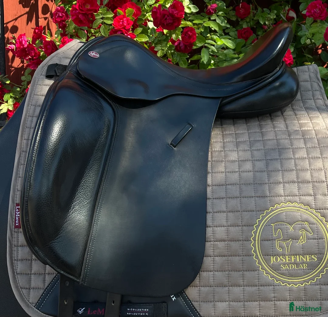 Sadlar hästutrustning till salu: Jeffries  i Hova - Annons 1