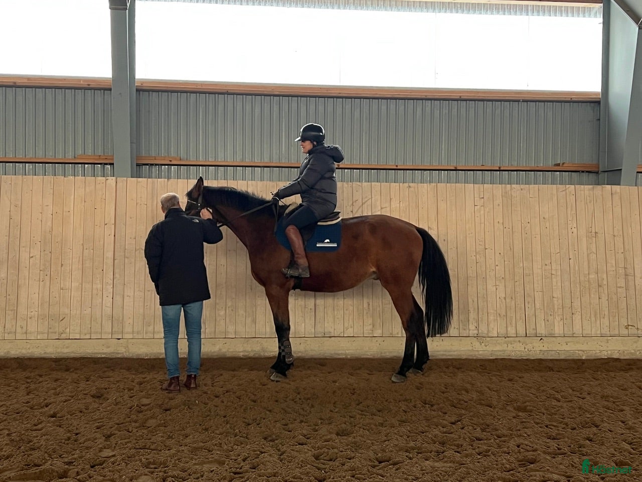  foderhäst tävlingsryttare/utbildare sökes till snart 5åring i Norrköping - Annons 8