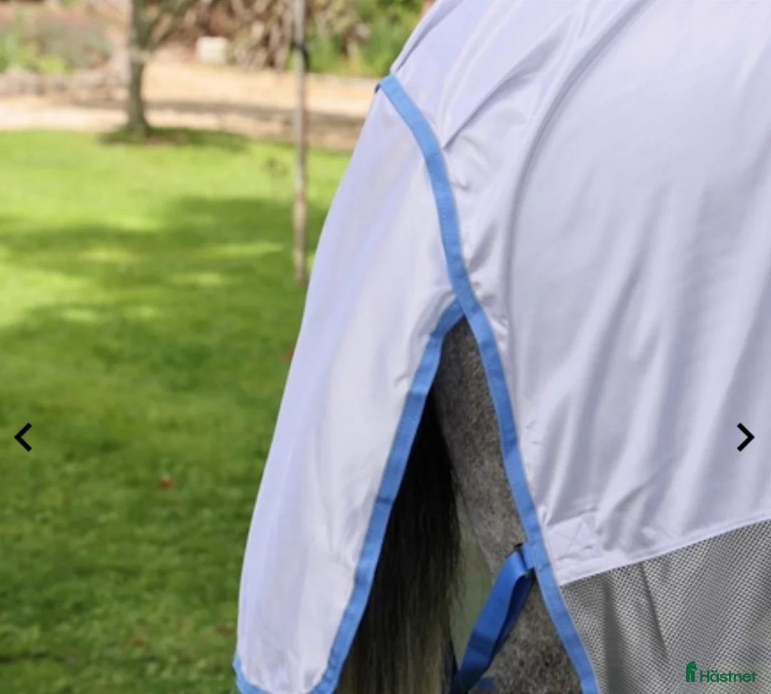 Täcken hästutrustning till salu: Shires Tempest Original Fly Mesh Combo Rug i Onsala - Annons 4