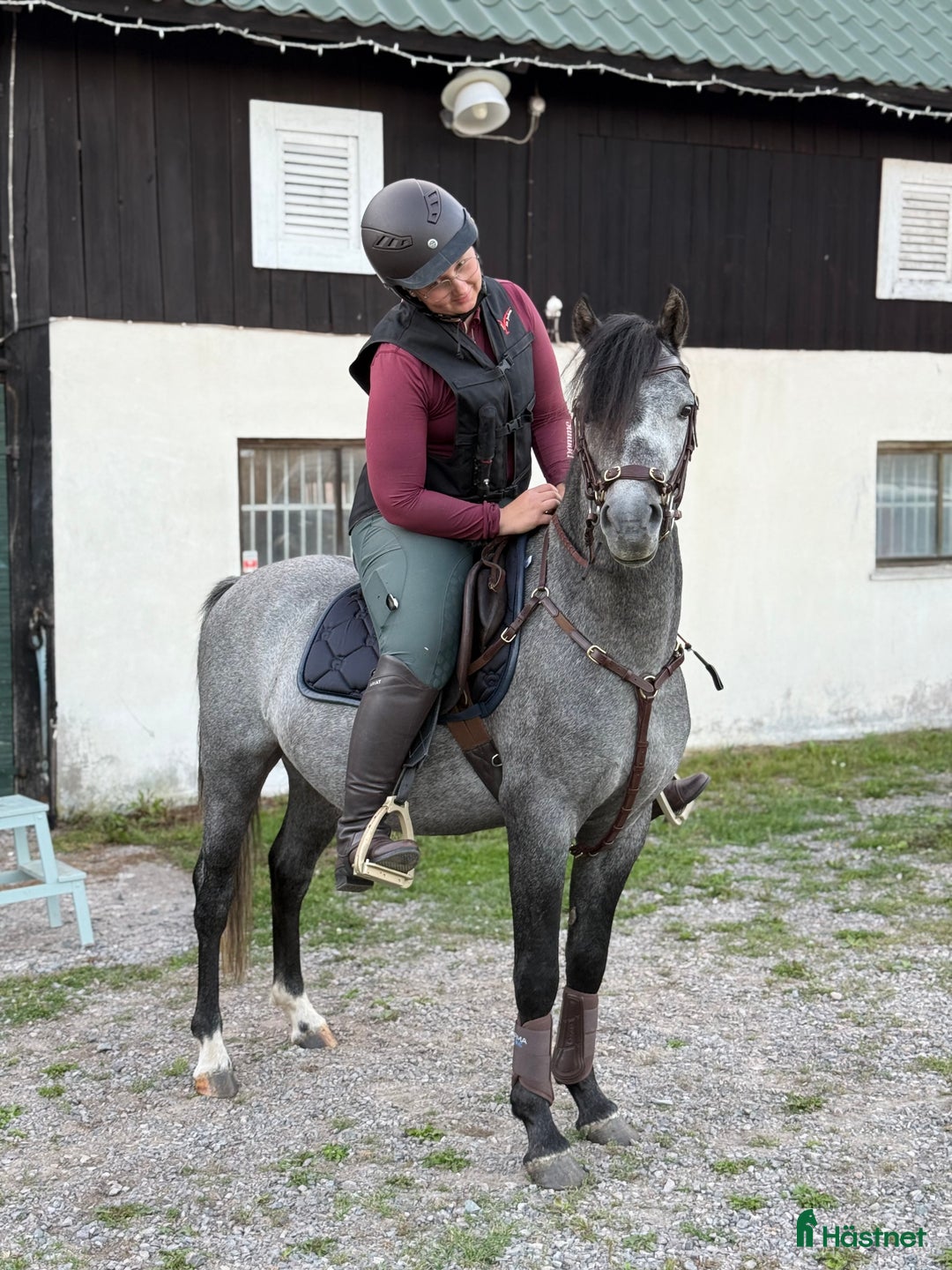 Allround hästar till salu: Sockersöt riden welshponny 3 år i Nybro - Annons 4