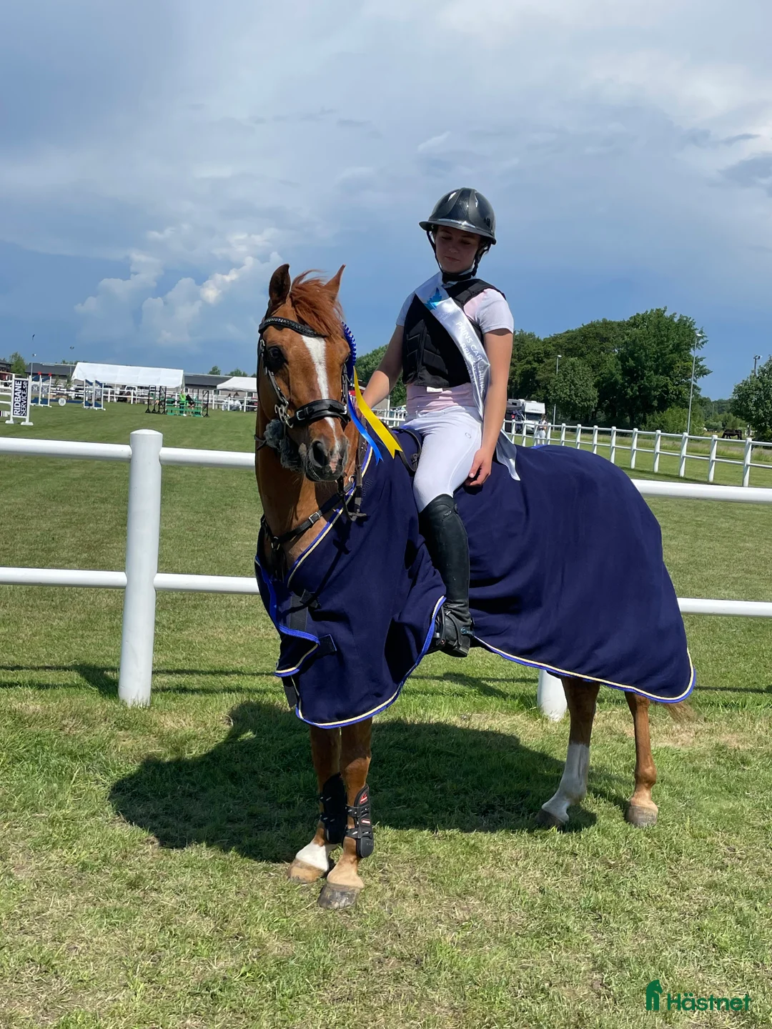 Hoppning hästar till salu: Välriden maxad c ponny för de högsta klasserna  i Kungälv - Annons 5